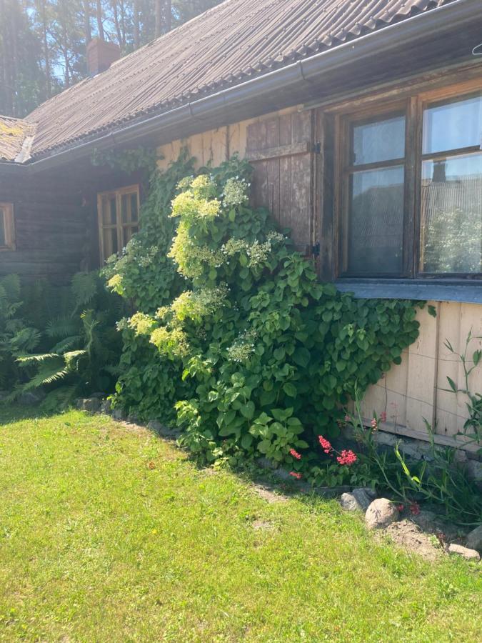 Vejavas Svētciems Exteriör bild